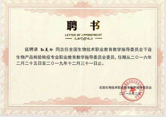 bevictor伟德官网