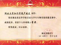 bevictor伟德官网